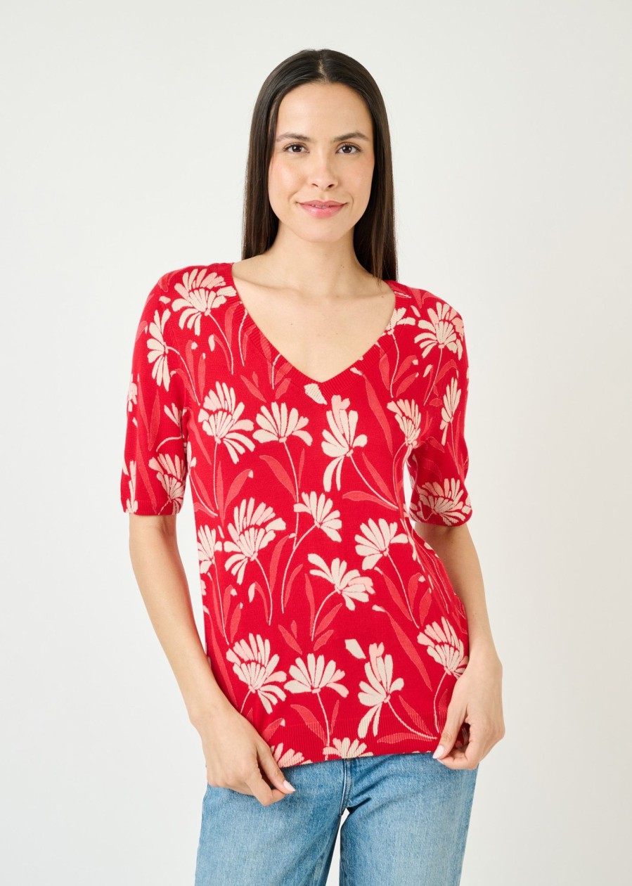 Women Daniel Rainn | Paloma Short Sleeve Sweater N601 Scarlet